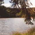 How to Locate Productive Bream and Tench Swims on UK Stillwaters
