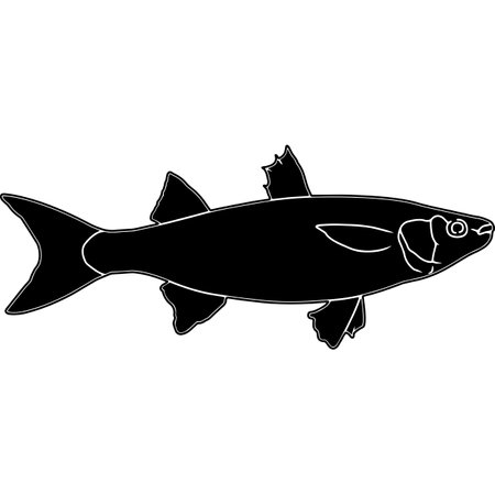 Essential Gear for UK Cod Fishing