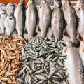 Tackle Selection for Coarse Anglers: Rods, Reels and Lines for Bream and Tench