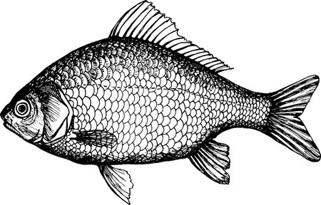 Hidden Coastal Gems: Top Fishing Spots Revealed