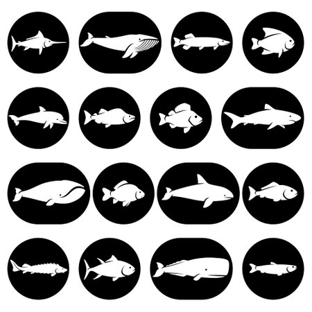 Marine Fish Species and Coastal Limits
