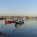 Comprehensive Guide to Fish Habitat Management for Sustainable Angling in the UK