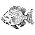 An In-Depth Review of the Best UK Coarse Fishing Rods For Beginners