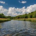 Top 21 Coarse Fishing Clubs Across England, Scotland, and Wales: Discover the Premier Locations