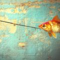Beginner’s Guide to Entering Your First Sea Fishing Competition in the UK
