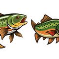 The Ultimate Guide to Stillwater Trout Fly Fishing in the UK: Tactics, Tips, and Iconic Locations