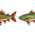 The History and Evolution of Sea Fishing in the English Channel