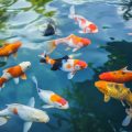 Best UK Shore Fishing Spots: A Regional Breakdown for Anglers