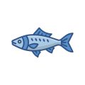 Coarse Fishing Club Competitions: Annual Events, Tournaments, and Friendly Match Days Across the UK
