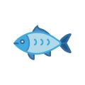 How to Plan the Perfect Scottish Fishing Holiday: Tips for UK Travellers