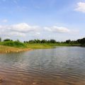 Essential Tackle and Gear for Stillwater Carp Fishing: The British Angler’s Checklist
