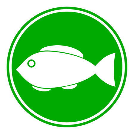 Effective Fly and Bait Choices for British Waters