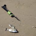 Shore Fishing Gear Essentials for UK Sea Anglers: What You Really Need