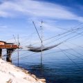 A Fisherman’s Dream: Exploring Luxury Fly Fishing Holidays at Welsh Lodges