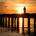 Where to Go Coarse Fishing in Wales: The Finest Rivers for Anglers