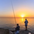 Long Casting Sea Fishing Rod & Reel Combos for UK Beaches: Models Reviewed