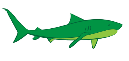 End Tackle Essentials: Lines, Hooks, and Rigs