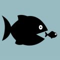 Fly Fishing for Bass in British Saltwater: A Complete How-To Guide