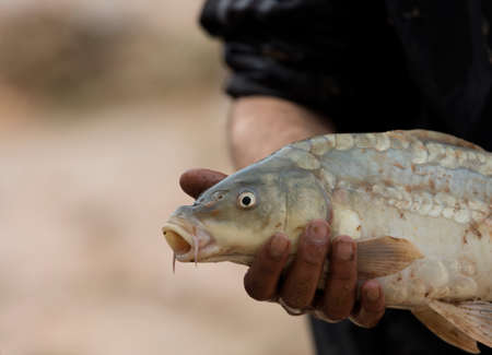 Legal Requirements for Catch and Release Fishing in England, Scotland, and Wales