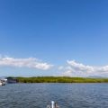 A Seasoned Angler’s Review of the UK’s Most Iconic Sea Fishing Locations