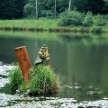 Adapting Your Approach: Combining Feeder and Float Fishing for Maximum Results in Britain