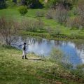 A Comprehensive Overview of Scotland’s Top Rivers for Coarse Angling