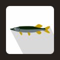 Planning a Salmon Fishing Holiday in Scotland: Everything You Need to Know