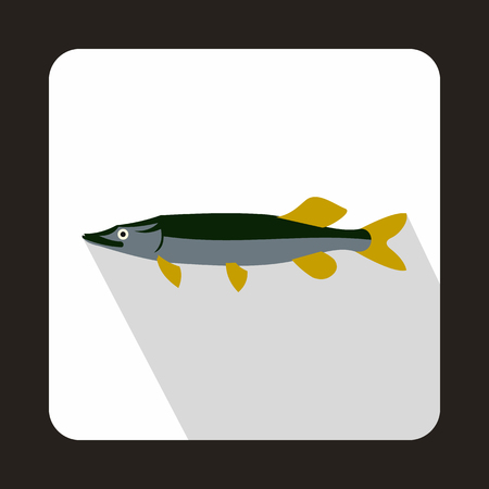 Planning a Salmon Fishing Holiday in Scotland: Everything You Need to Know