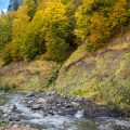 Autumn and Winter Grayling Fly Fishing: Tactics for Cold-Weather Success