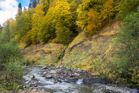 Autumn and Winter Grayling Fly Fishing: Tactics for Cold-Weather Success