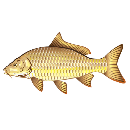 The British Carp Angling Scene: Venues and Traditions