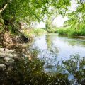 British Fly Fishing Secrets: Mastering Stillwater Trout with Local Patterns and Methods