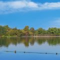Top 10 Weekend Carp Fishing Breaks Across the UK: A Comprehensive Guide