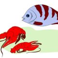 Sea Angling Hotspots: Discover the UK’s Most Productive Coastal Fishing Areas