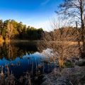Seasonal Approaches: Adapting Your Bream and Tench Tactics Throughout the Year