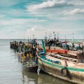 Top 20 Most Prestigious Sea Fishing Festivals Across Britain