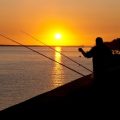 Seasonal Strategies for Stillwater Trout Fly Fishing in England, Scotland, and Wales