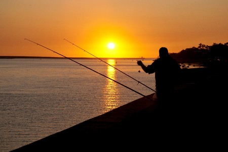 Seasonal Strategies for Stillwater Trout Fly Fishing in England, Scotland, and Wales