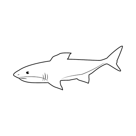 The River Tay: Scotland’s Salmon Powerhouse