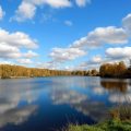 Top 10 Best Carp Lakes in England: A Comprehensive Guide for UK Anglers