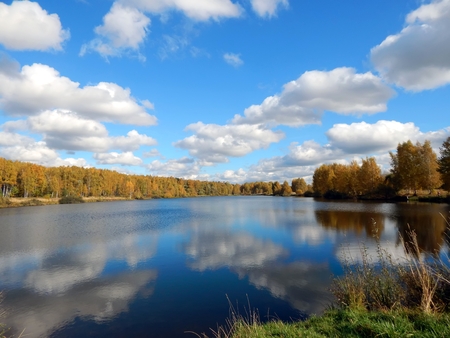 Top 10 Best Carp Lakes in England: A Comprehensive Guide for UK Anglers