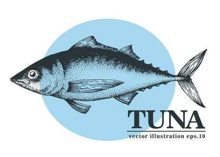 Techniques and Tactics for Successful Shore Angling