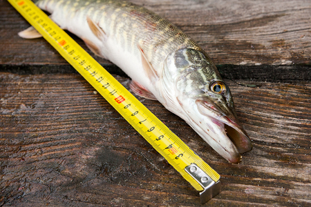 Luxury Salmon Fishing Lodges and Accommodation on Scottish Rivers