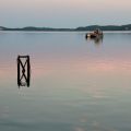 Pole Fishing for Match Anglers: Advanced Methods and Gear for British Waters