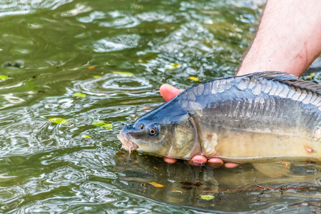 How to Find and Enjoy Disabled Friendly Fishing Locations in the United Kingdom