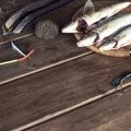 Groundbaiting Techniques to Attract Large Shoals of Bream and Tench
