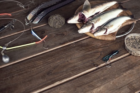 Groundbaiting Techniques to Attract Large Shoals of Bream and Tench