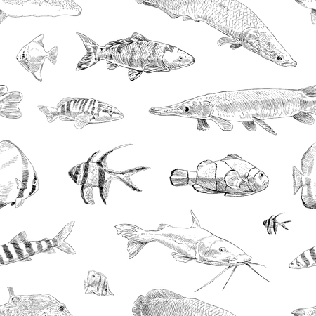 Target Species and Seasonal Highlights