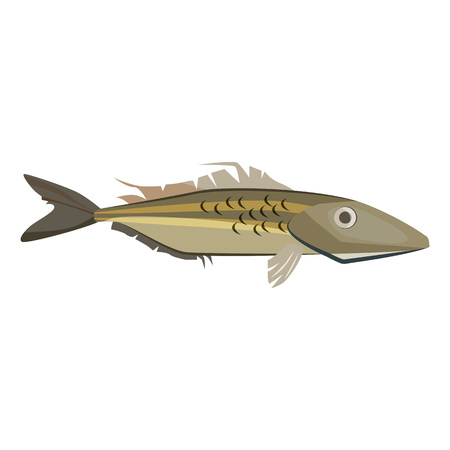 Essential Tackle for Close-Quarter Angling