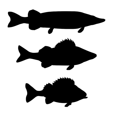 Prime Locations: UK Cod Hotspots after Dark
